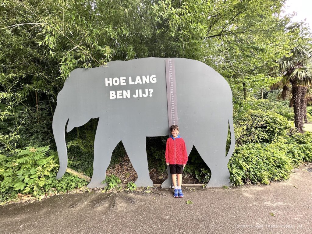 zoo di rotterdam